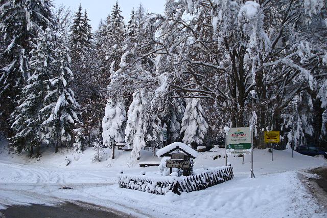 09 Eibeggsattel 1001 m.JPG